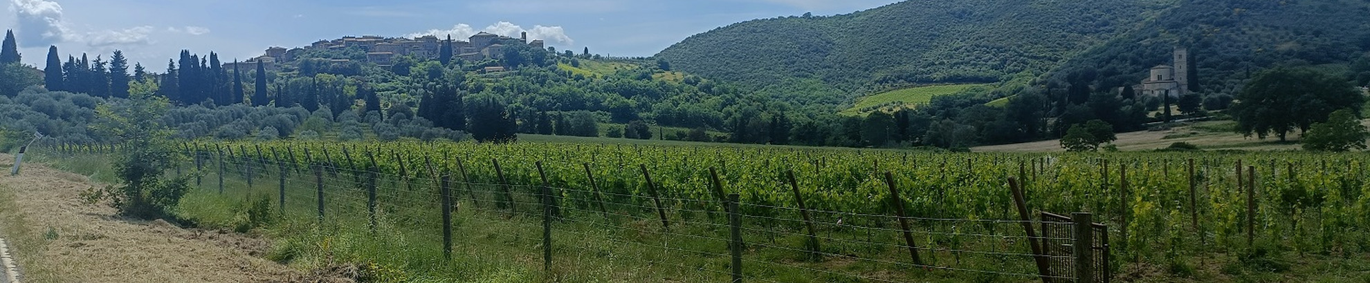 South Tuscany Bike Tour